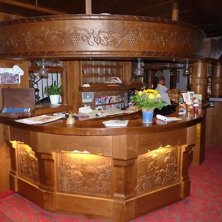 Hotel St.martiner Castell